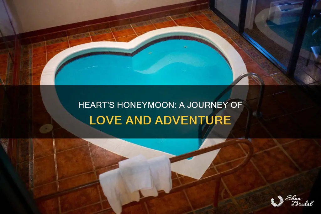 when calls the heart honeymoon