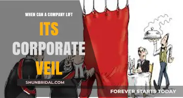 Unveiling Corporate Veil: When Companies Can Reveal Their Legal Shield