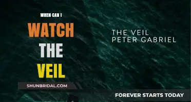 When Can I Watch The Veil? Release Date and Streaming Guide