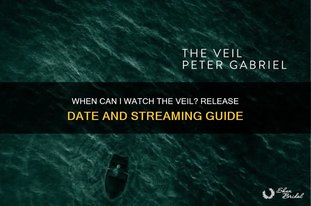 when can i watch the veil