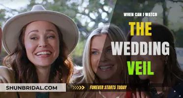 The Wedding Veil: When and Where to Watch the Romantic Trilogy