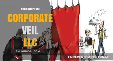 When Can Courts Pierce the Corporate Veil of an LLC?