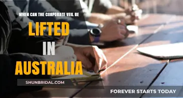 When Australia's Corporate Veil Can Be Lifted: Key Legal Insights