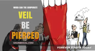 Piercing the Corporate Veil: When and How It Can Be Done