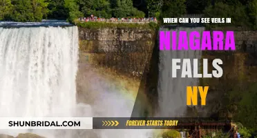 Niagara Falls NY Veil Sightings: Best Times and Tips