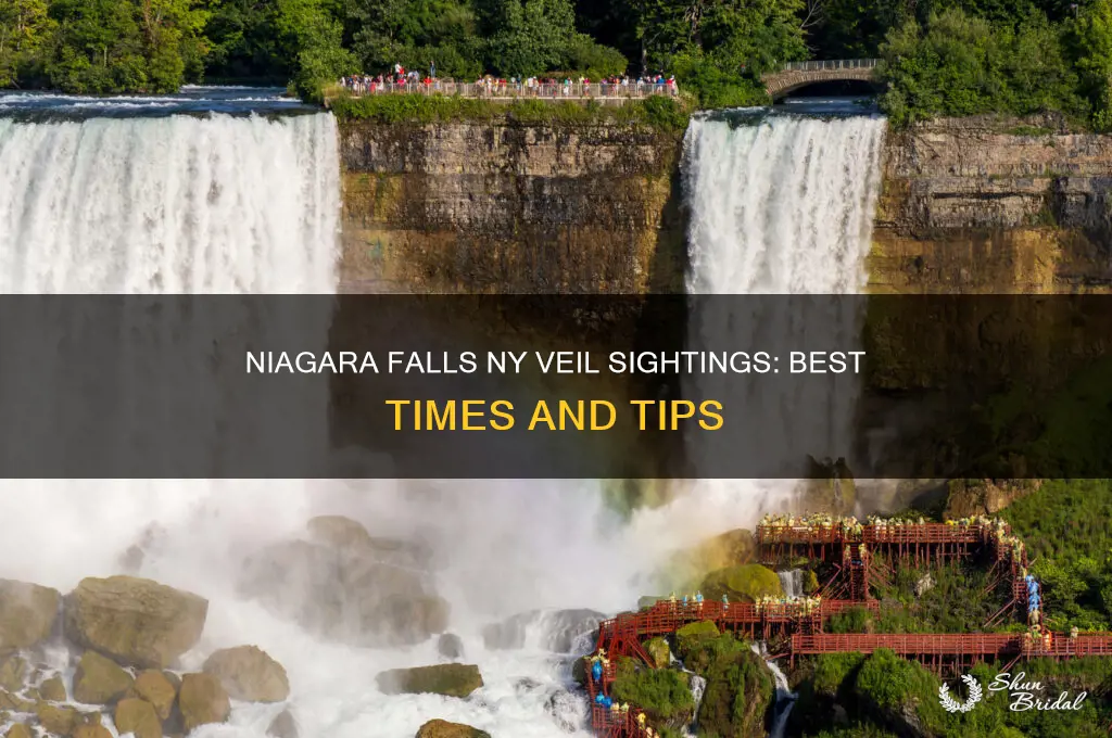when can you see veils in niagara falls ny