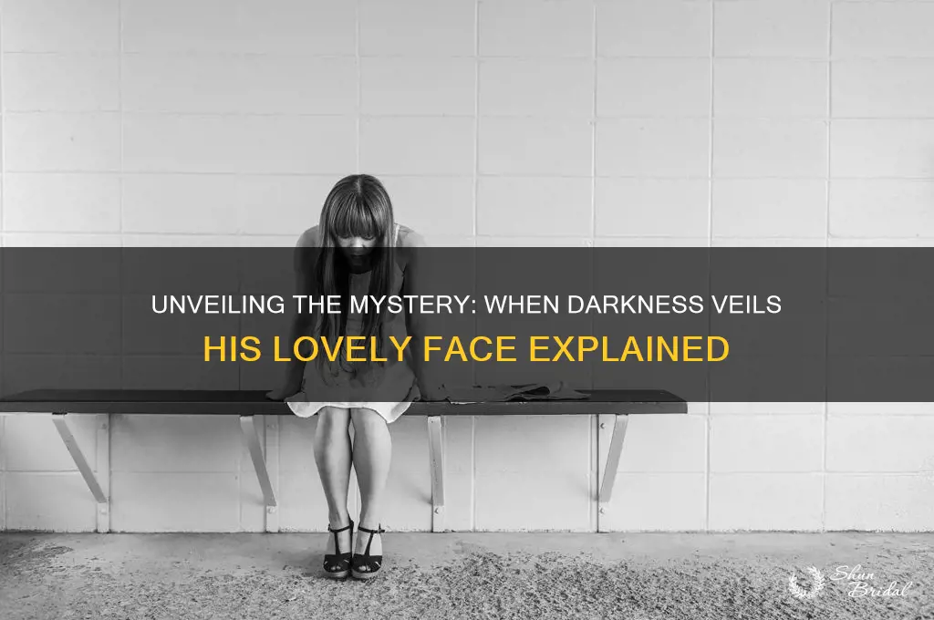 when darkness veils his lovely face meaning