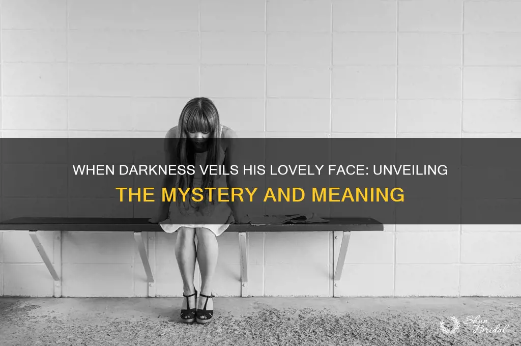when darkness veils his lovely face