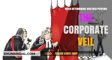 Understanding Corporate Veil Piercing: Key Factors and Legal Considerations