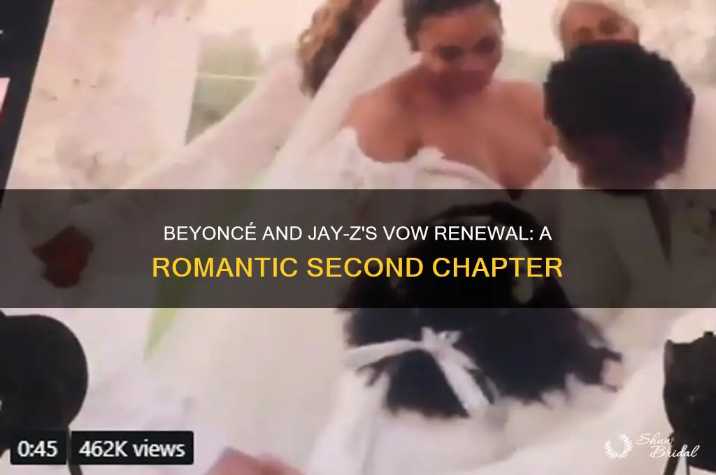 when did beyonce and jay z renew their vows
