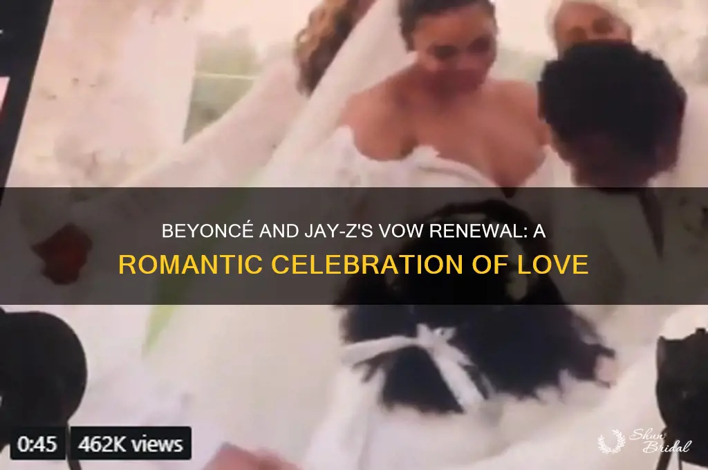 when did beyonce renew her vows
