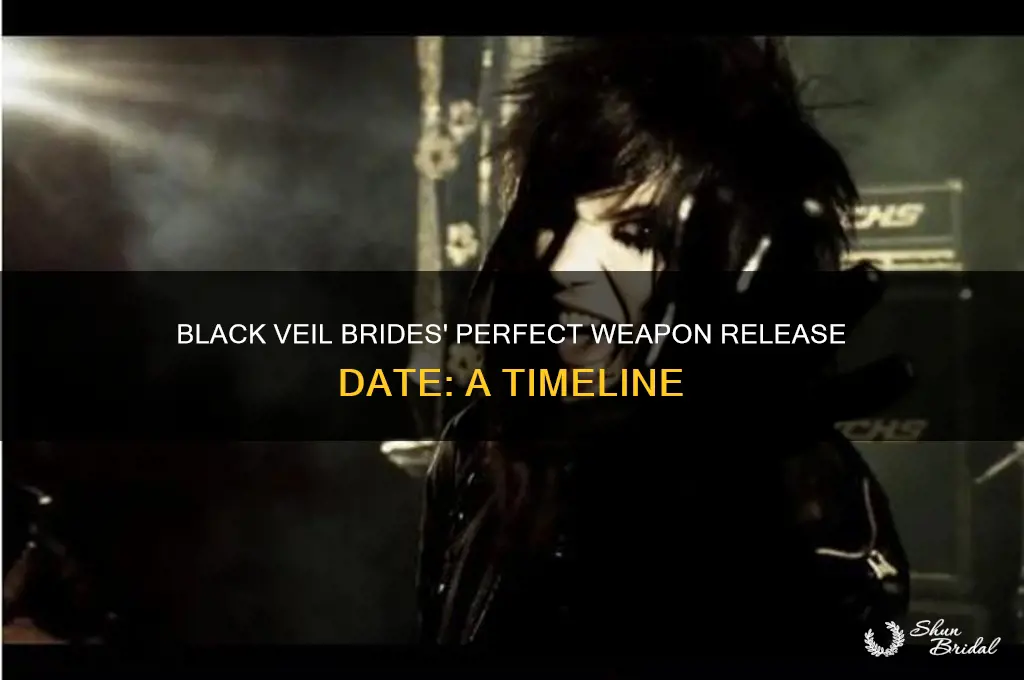 when did black veil brides perfect weapon come out