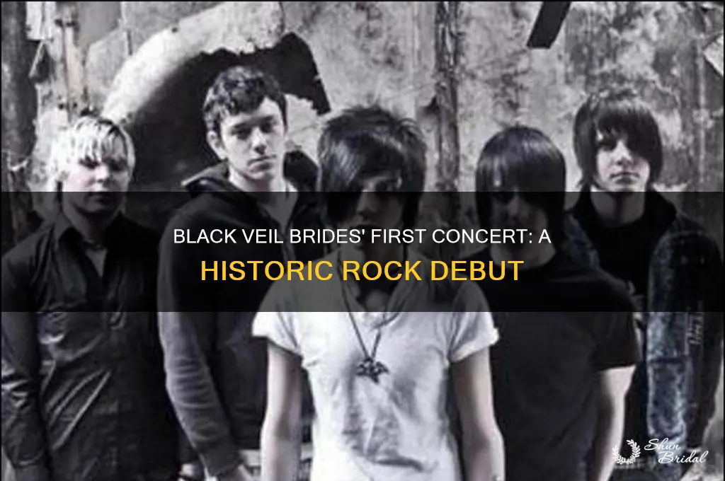 when did black veil brides play their first concert