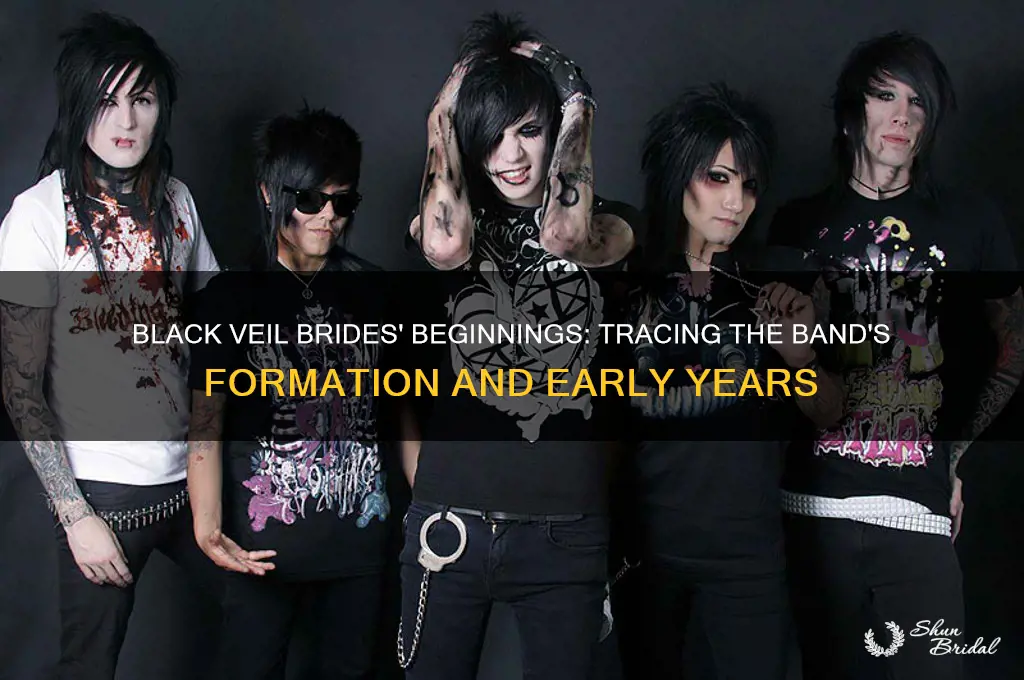 when did black veil brides start