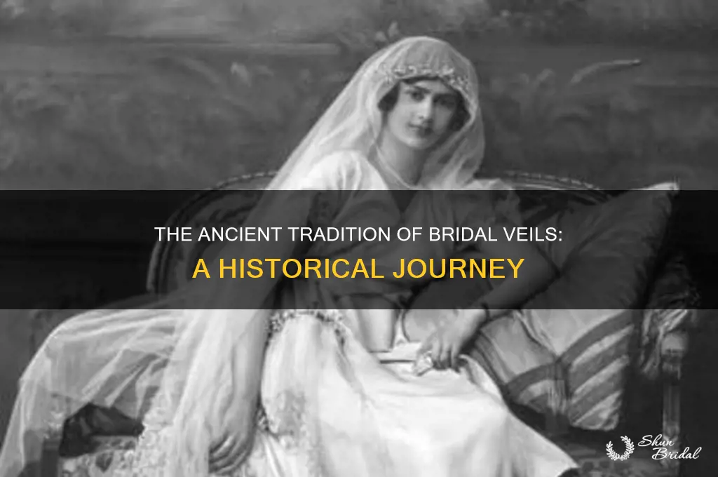 when did brides start wearing veils