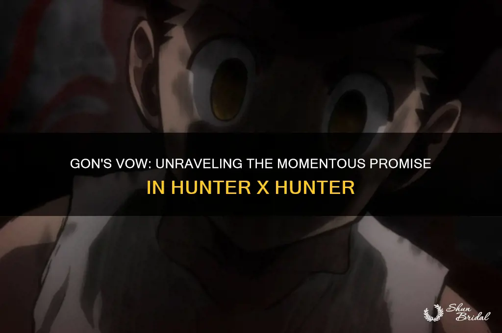 when did gon make his vow