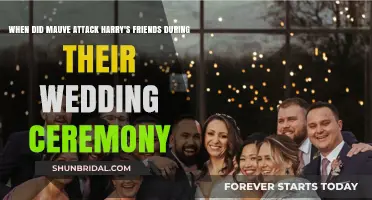 Mauve's Shocking Wedding Attack on Harry's Friends: When and Why?