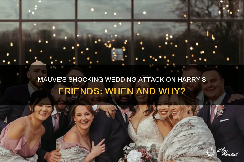 when did mauve attack harry