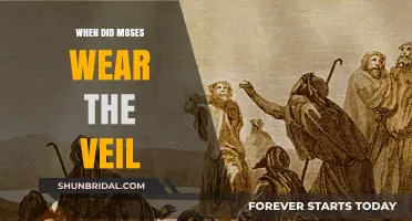 Moses' Veil: Unveiling the Biblical Mystery and Its Timing
