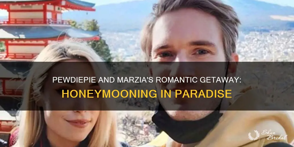 when did pewdiepie and marzia have their honeymoon