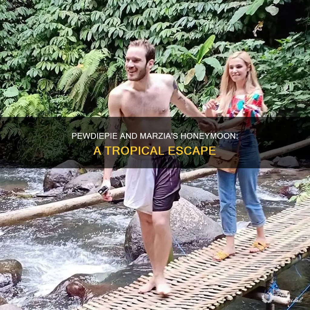 when did pewdiepie and marzia have their honeymoon