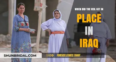The Rise of the Veil in Iraq: A Historical Overview