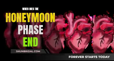 The Honeymoon Phase: When Does the Spark Fade?