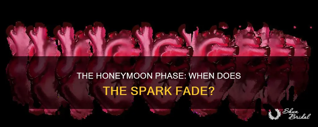 when dies the honeymoon phase end