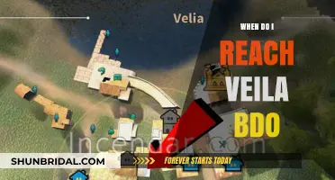 Navigating BDO's Veila: When and How to Reach This Key Location