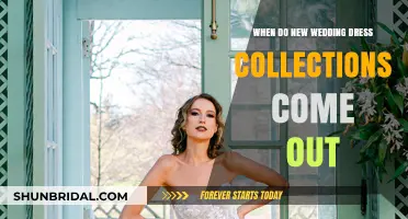 Latest Wedding Dress Collections: When to Expect Them