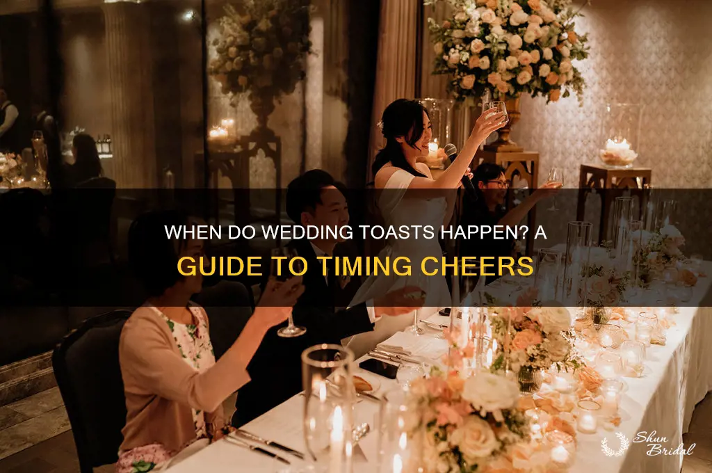 when do people do toasts at wedding