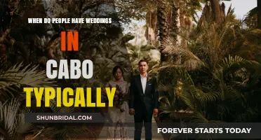 Cabo Wedding Season: Ideal Months for Your Dream Destination Celebration
