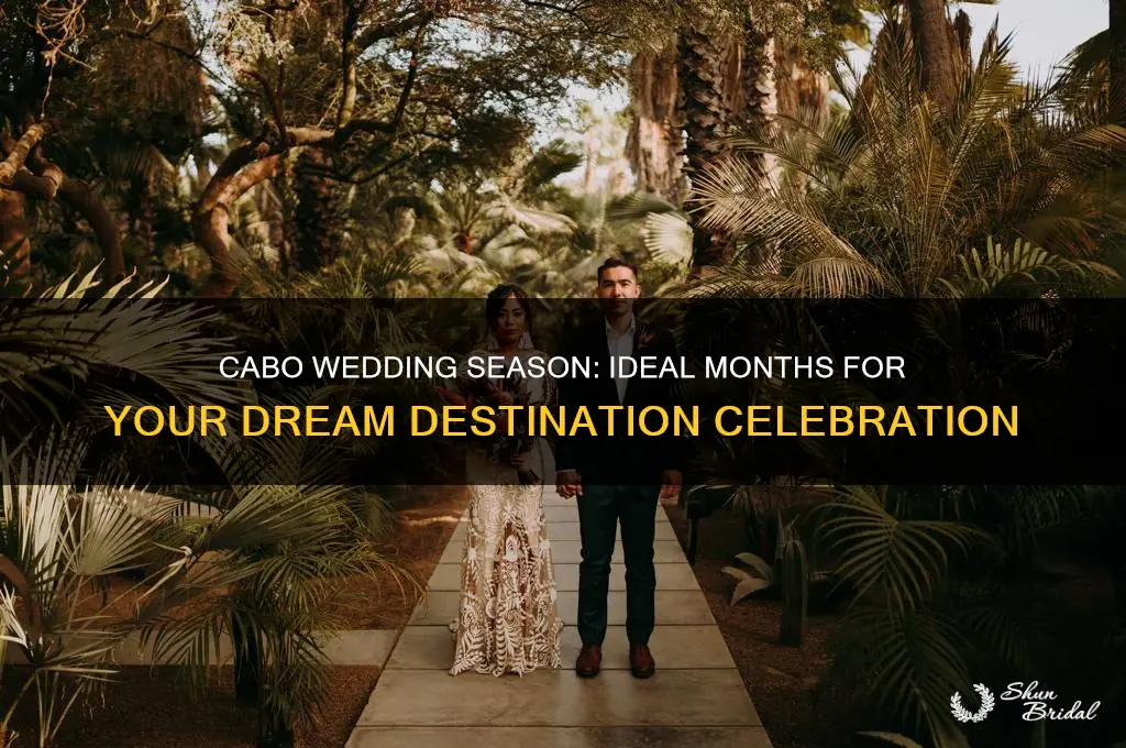 when do people have weddings in cabo typically
