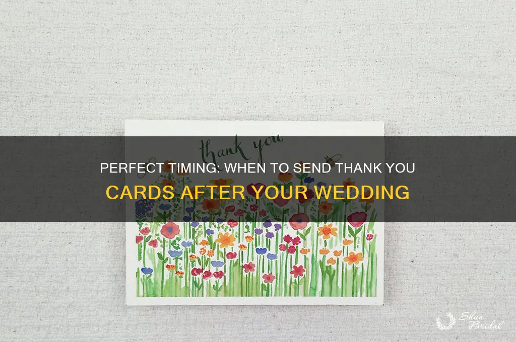 when do thank you cards get sent after a wedding