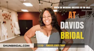 Find Your Dream Wedding Dress on Sale at David's Bridal