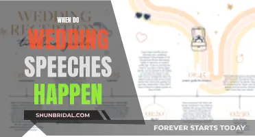 Wedding Speech Timing: When to Speak at the Reception
