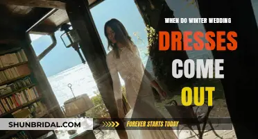 Winter Wedding Dresses: Release Dates and Trends
