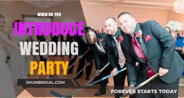 Introducing Your Wedding Party: Perfect Timing for a Seamless Celebration