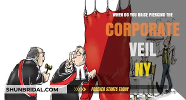 When to Raise Piercing the Corporate Veil in NY: Key Insights