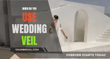 The Veil: A Wedding Tradition Explained