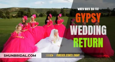 Big Fat Gypsy Wedding: Return of the Travelers