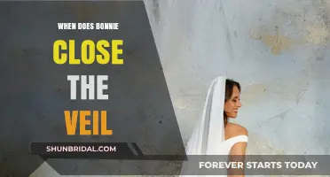 When Does Bonnie Close the Veil in The Vampire Diaries?