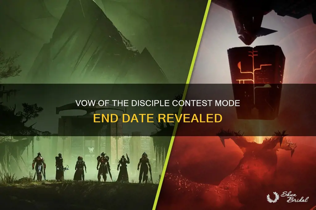 when does contest mode end vow of the disciple