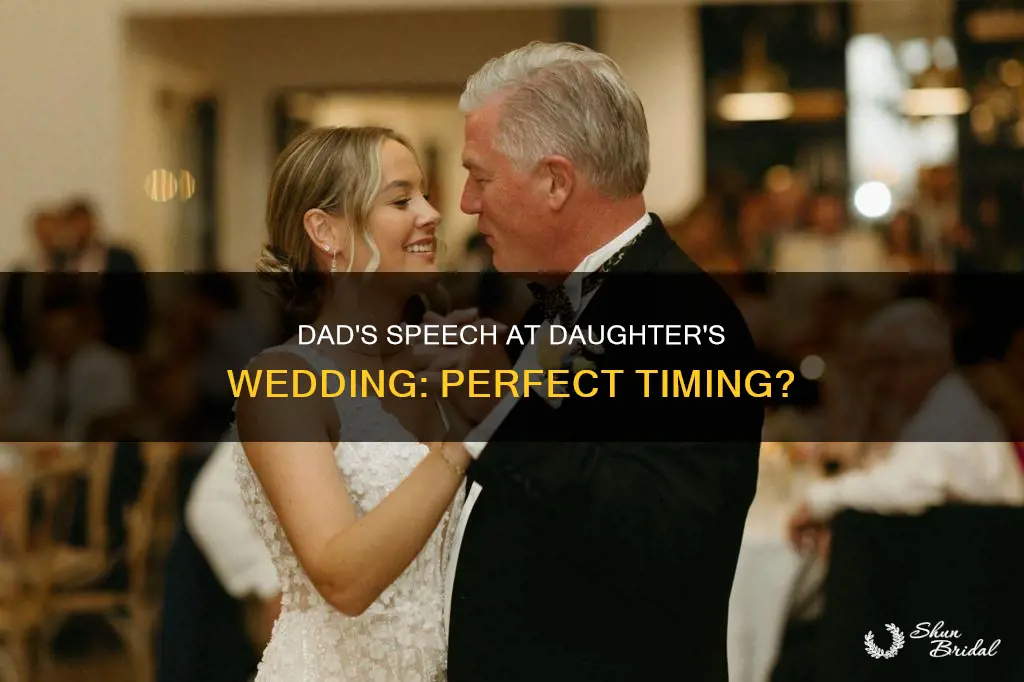 when does dad make speech at daughters wedding