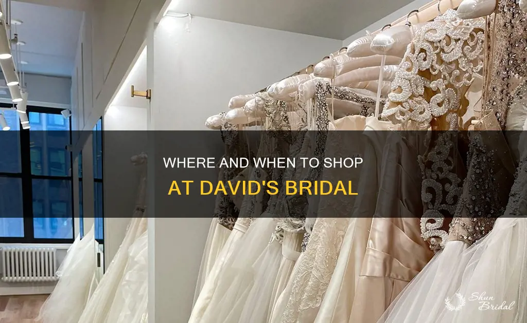 when does david