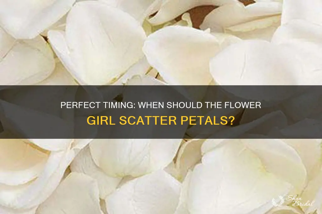 when does flower girl throw petals