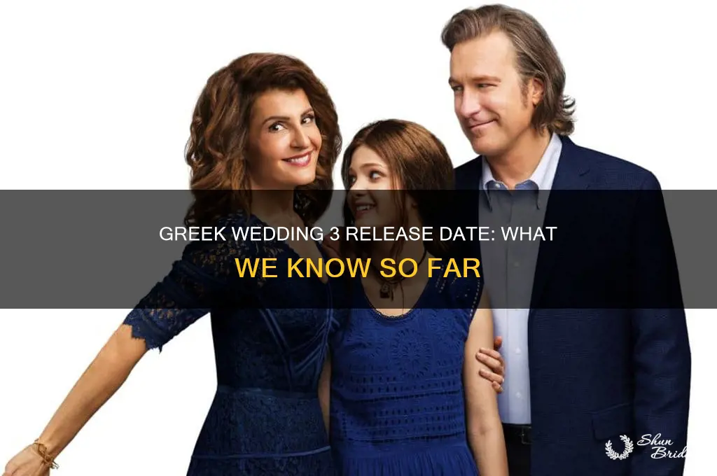 when does greek wedding 3 come out