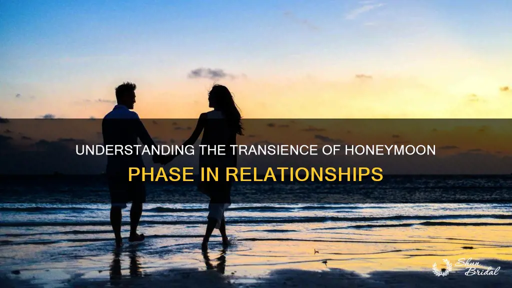 when does honeymoon phase end in dating