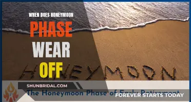 Understanding the Transience of Honeymoon Phase