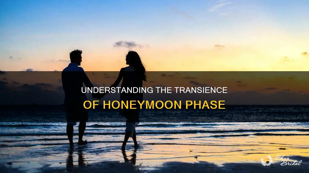 when does honeymoon phase wear off